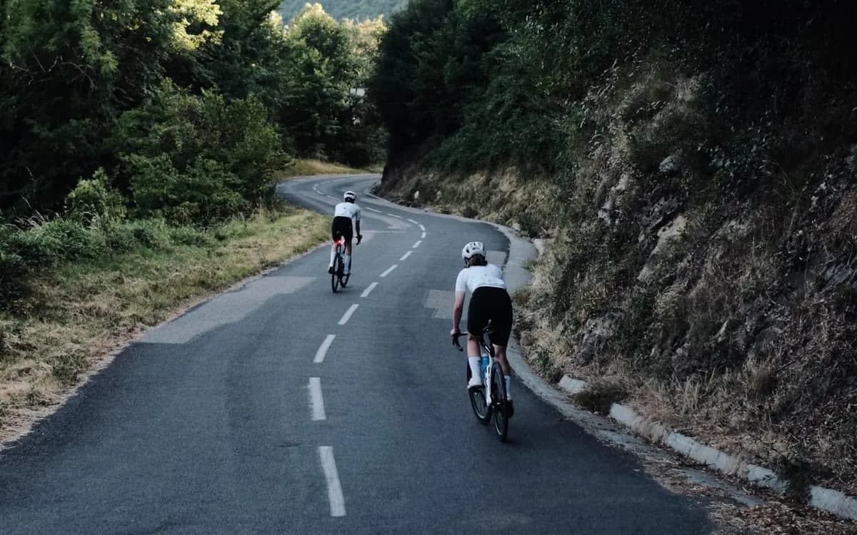 Two riders on a winding forest road.